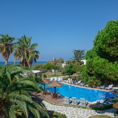 Alkyoni Beach Hotel Naxos City Bagian luar foto