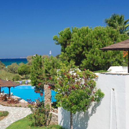 Alkyoni Beach Hotel Naxos City Bagian luar foto