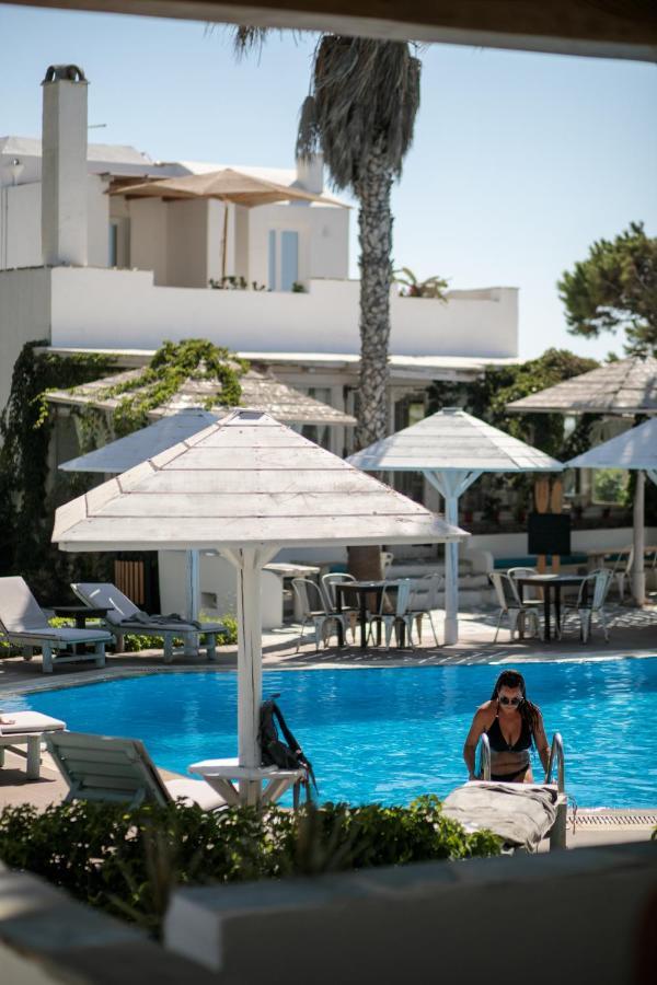 Alkyoni Beach Hotel Naxos City Bagian luar foto