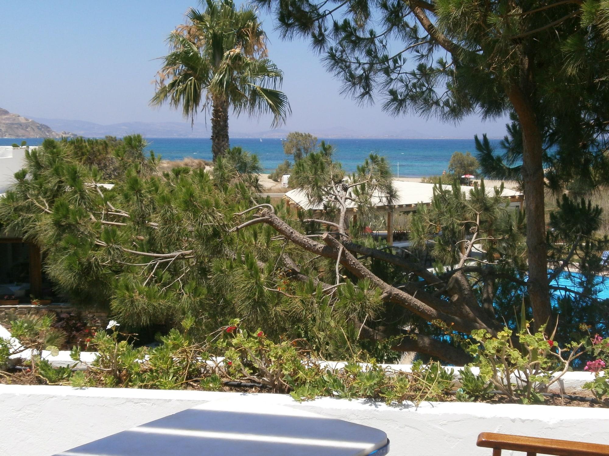 Alkyoni Beach Hotel Naxos City Bagian luar foto